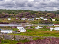 Tickle Cove